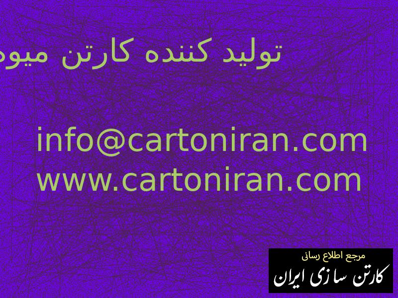 تولید کننده کارتن میوه